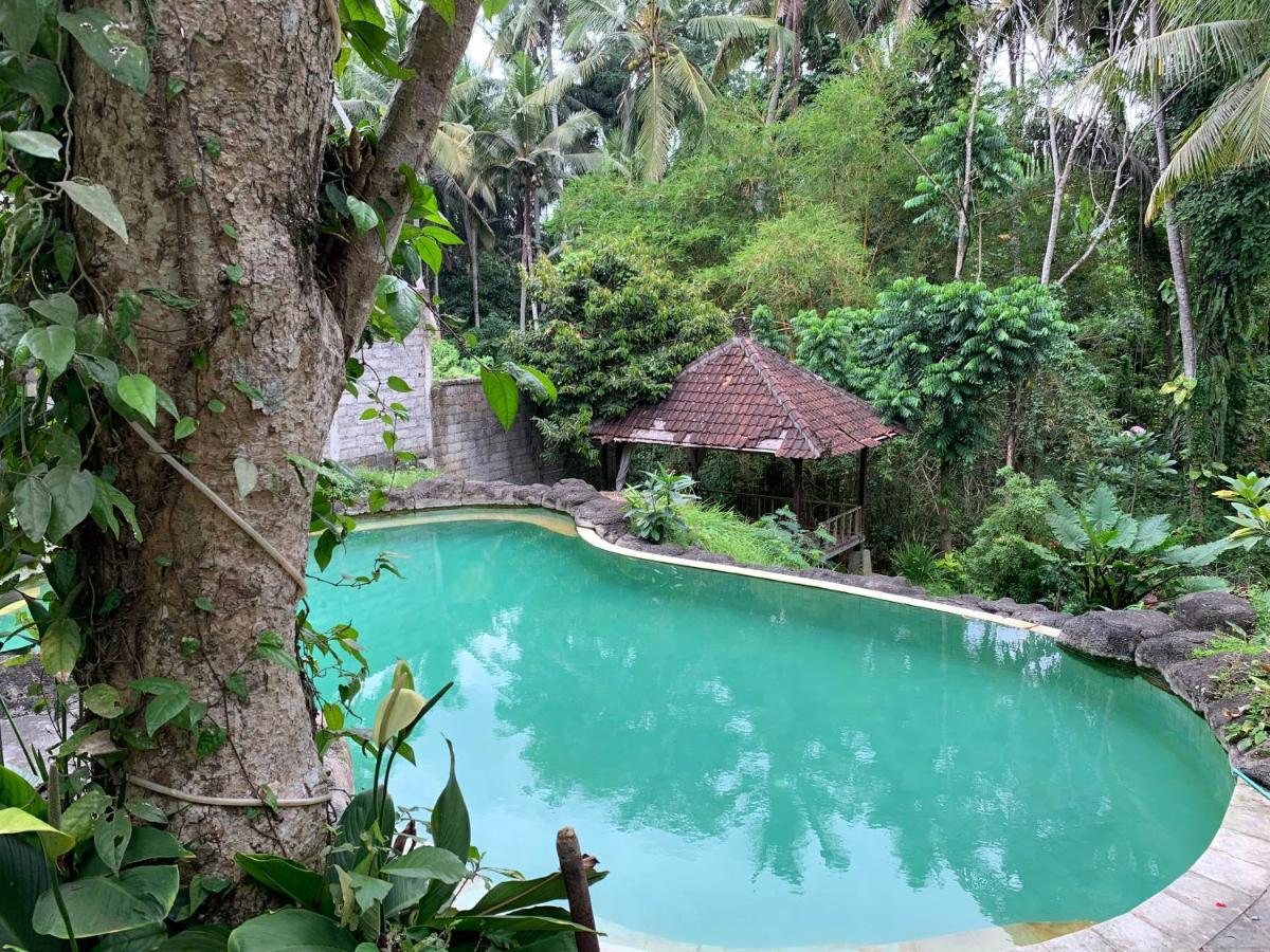 Wonder-Land Villa Ubud  Exterior photo