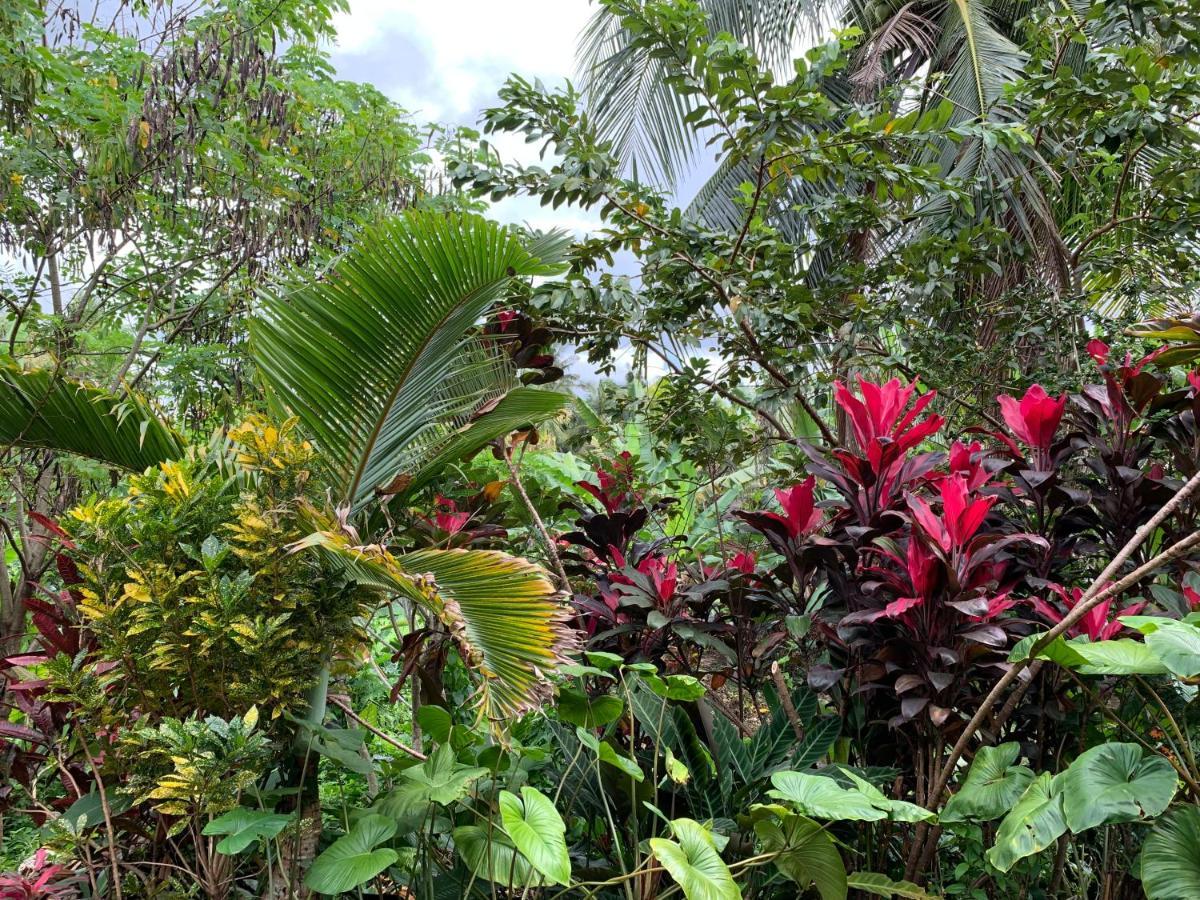 Wonder-Land Villa Ubud  Exterior photo